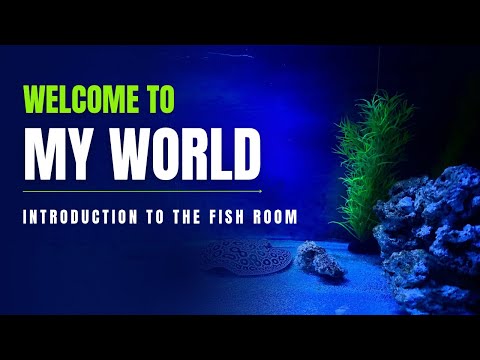 Welcome to my world