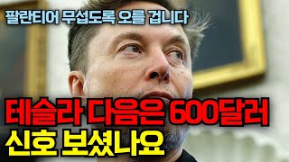 테슬라 다음은 600달러 입니다..신호 보셨나요, 팔란티어 매출 무섭도록 오를 겁니다