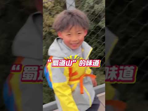 徒步天然大氧吧，探秘熊猫与猛兽王国…#碧峰峡#碧峰峡春日森友会#碧峰峡动物交友计划#碧峰峡旋转奖牌上线