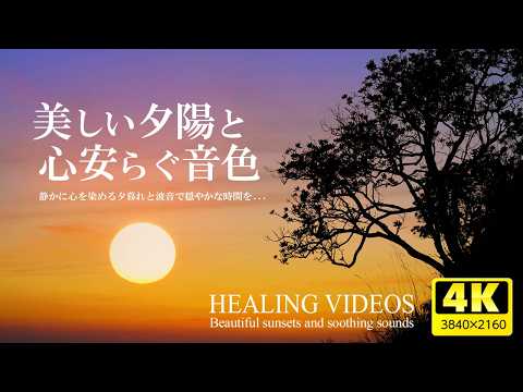 [Relaxation] Beautiful sunset and relaxing sounds for 3 hours