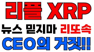 리플 XRP 엑스알피 개폭락 뭔데? 호재 믿지마라!! 결국 이렇게 된다 솔라나 시바이누 수이코인