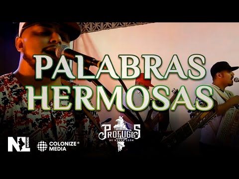 Prófugos de Nuevo León - Palabras Hermosas (En Vivo)