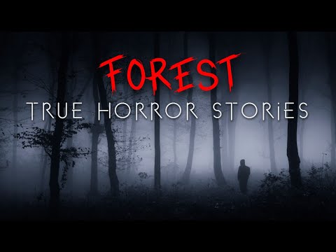 3 True Deep Forest at Night Horror Stories