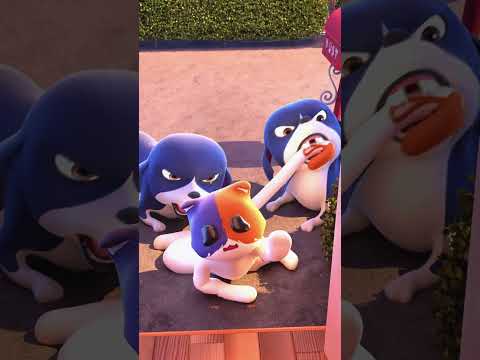 Poor Kit vs. Angry Dogs... wait until the end! 😈