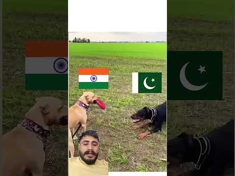 #duet #asiacup2022 #indianarmy #indianvlogger #indiaarmylove