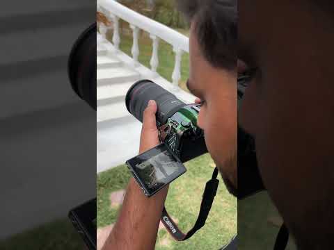 Canon RF 15-35 mm 2.8 lens test
