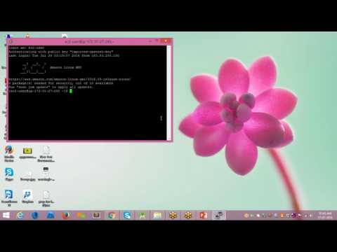 Python Basics Tutorials