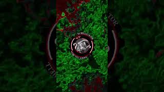 DJ Hellevator - The Walk #analogvibes #techno #happyrave