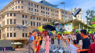 Ultimate Vietnam Walking Tour – Best Street Views & Local Eats!