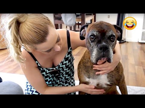 New Funny Animals 😂 Funniest Cats and Dogs Videos 😺🐶 2024 part56
