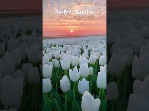 #nature #sunrise