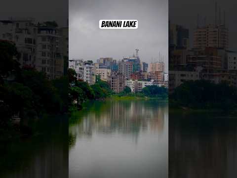 Banani Lake ll Dhaka ll Bangladesh