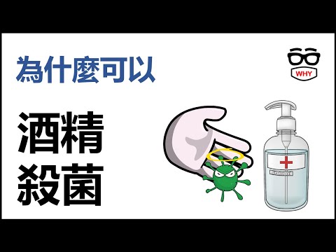 為什麼酒精可以殺菌?為什麼要75%?濃度越高越好?|WHY WHITE 壞壞科普小教室