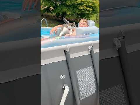 Jasmine the floating cat