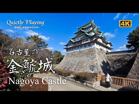 Nagoya’s Golden Shachihoko Castle! Let’s take a walk around Nagoya Castle together～