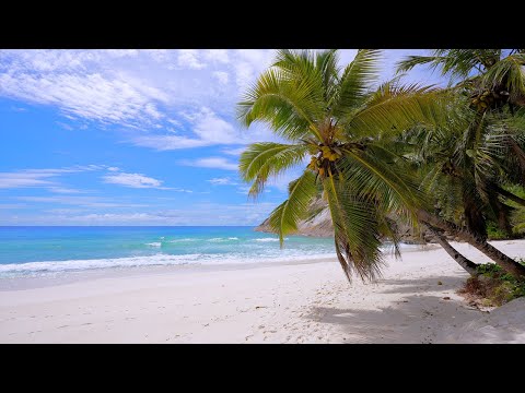 Seychelles Ocean 4K (12 HOURS) 🏝 Ocean Waves 4K 60FPS Dolby Vision