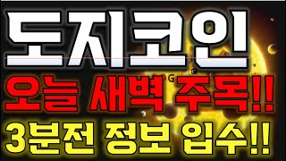 [도지코인 전망] "🔥 재단 공지 떴습니다!!"🔥 무조건 진입하시죠!🔥