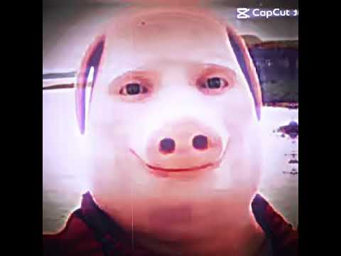 Why did I make this