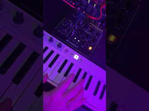 🤖⚡️🔈#synth #modularsynth #eurorack #keystep #microfreak #waldorfrocket #akaimpd218 #doepfer