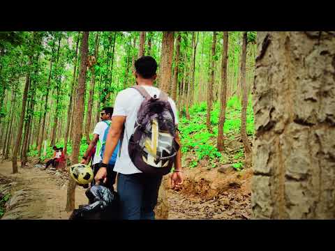 Nature Walk @RemoteBackpackers