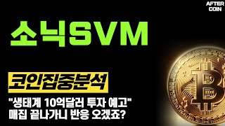 [소닉SVM 코인] "생태계 10억달러 투자 예고" 매집 끝나가니 반응 오겠죠?  #소닉SVM #소닉SVM코인 #소닉SVM코인전망