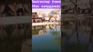 Билганлар ёзинг #yangiklip #yaxshikayfiyat #uzklip