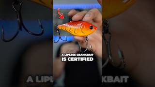 BEST Lures for Spring Bass Fishing!