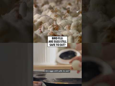 Bird flu: Are eggs still safe to eat?