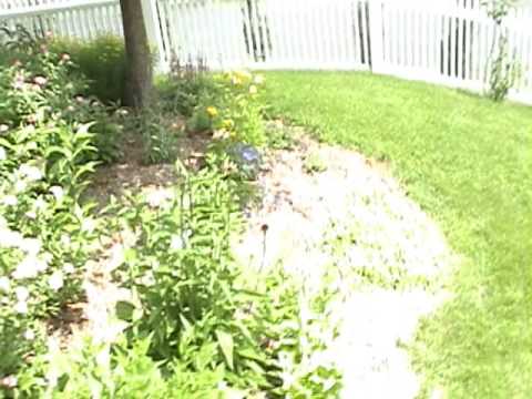 Living with Multiple Sclerosis: My little Botanical Garden! ENGLISH