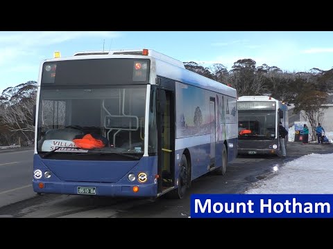 Buses at Mount Hotham & Dinner Plain
