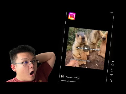 Reacting to my INSTAGRAM REEL page