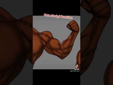 Arm Study/anatomy practice on #ibispaintx #anatomypractice #drawingtimelapse