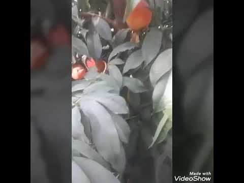 این فیلم حتما تماشا کنید 😉