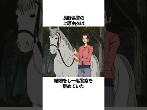 【名探偵コナン】実はバツイチな長野県警の由衣刑事