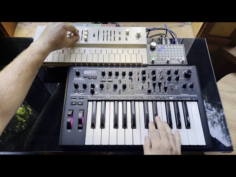 Ambient jam with Novation AFX Station, Vongon Replay, Empress Zoia