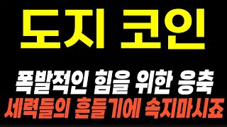 [도지 코인] 과거의 사이클을 보면 세력들의 흔들기에 속을 수 없습니다. 폭발적인 힘을 위한 응축 ! 하지만 리스크 대비도 꼭 알고 가시죠
