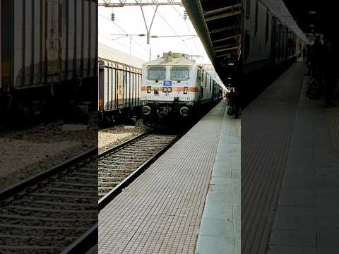 13151 Jammu Tawi Express🧐 #shortvideo #youtubeshorts #viral #shorts