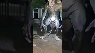 Is this a creature or a prank gone wrong? #creaturefeature #bizarreencounter #captivating