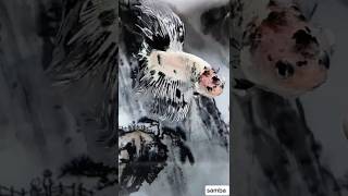 Chinese style ink painting panda koi #fishyfun #aquarium #aquariumgoals