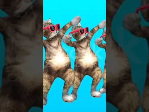 Cute Puppy and Cat Dancing 🐕🐈 #dogdance #catdance #PuppyDance