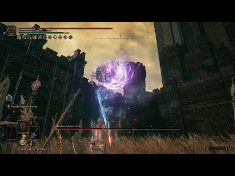 Elden Ring DLC - Commander Gaius - no damage
