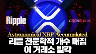 리플 천문학적 개수 매집한 거래소 발칵, “이 거래소 큰일이네”