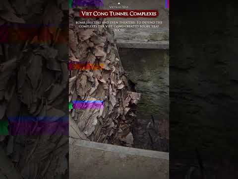Viet Cong Tunnel Complexes #shorts #fyp #military #vietnamwar #vietcong #boobytraps #militaryhistory