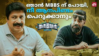 ജയിലിൽ നിന്ന് വന്ന കോടീശ്വരൻ | Aanakkallan | Biju Menon | Kanika | Sun NXT Malayalam