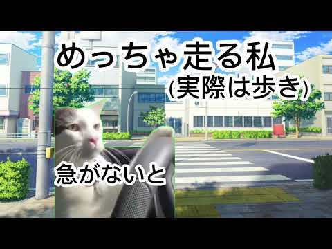【猫ミーム】 退学になった話
