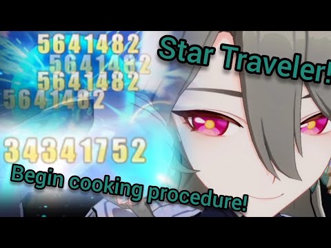 Vita Experience (Honkai 3rd Memes)