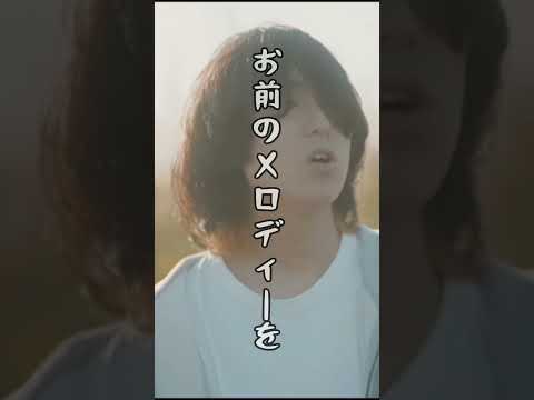 standard sky ユアメロディ #shorts #歌詞動画  #歌詞 #standardsky #ユアメロディ