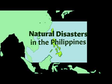 Infographic Animation except everything is all wrong