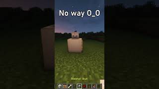 No Way... 🤯🤯 #minecraft #memes #shortvideo #shorts #minecraftrealistic #minecraftbeauty #gaming