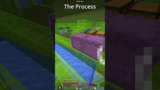 The BEST! pickle farm on donut smp  #minecraft #minecraftbeauty #drdonut  #donutsmp